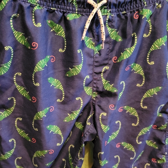 Lands End Boys Swim Shorts and Rashguard - Picture 5 of 5